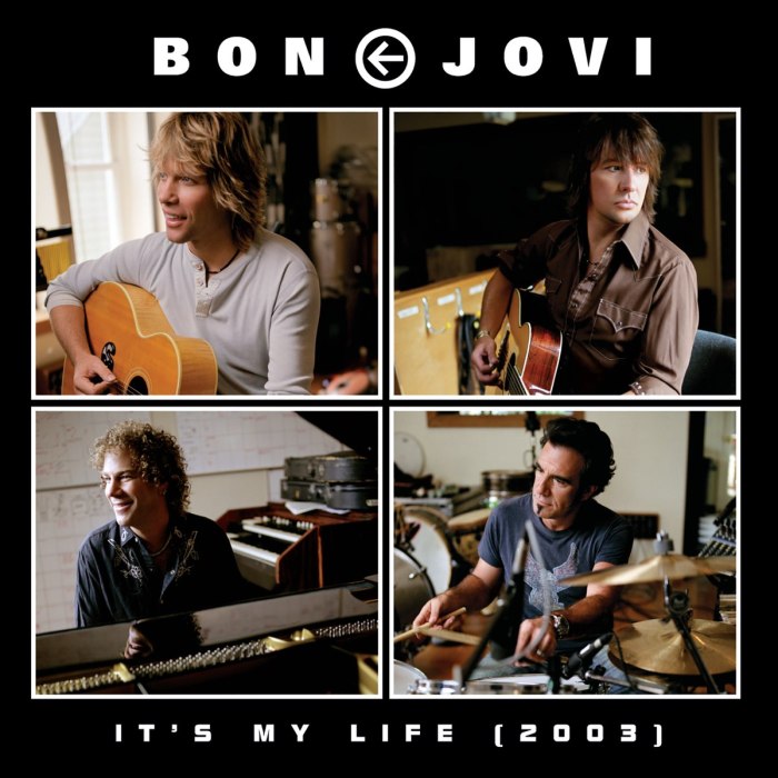 Biografi bon jovi its my life