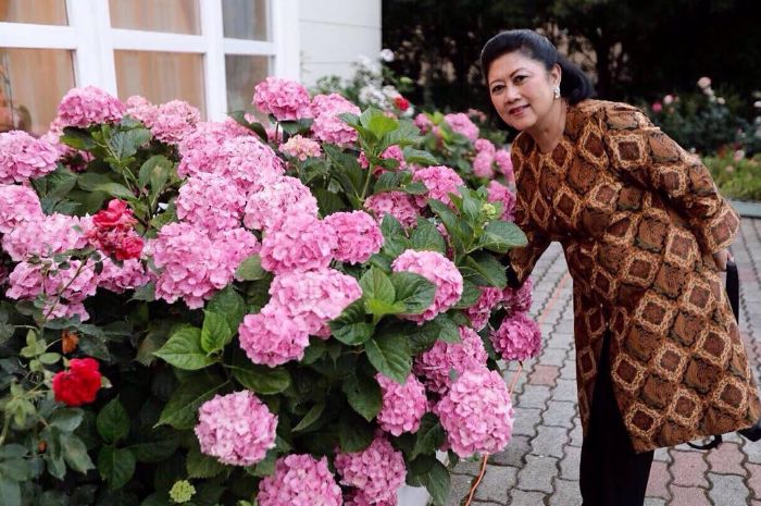 Susilo bambang yudhoyono presiden sby biografi keenam jokowi demokrat kepemimpinan profil pertemuan ahy biografiku ditunda bukan alutsista minta belanja musuhnya