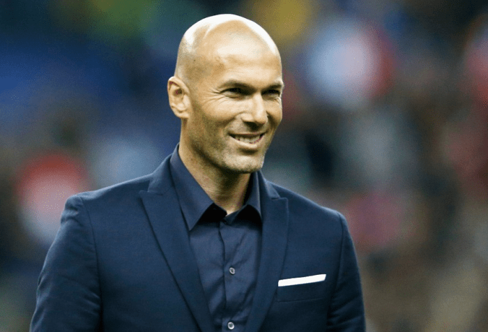 Biografi zinedine zidane