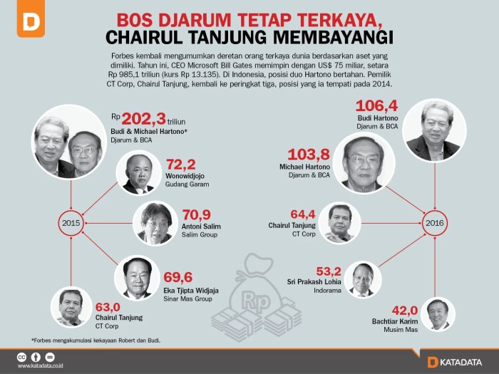 Tanjung chairul biografi kepogaul profil