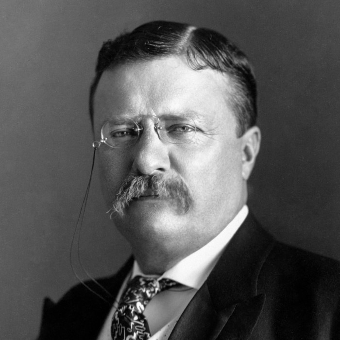 Biografi presiden theodore roosevelt
