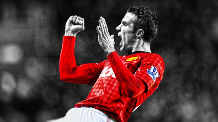 Biografi robin van persie