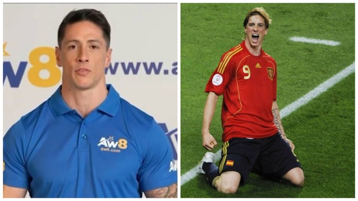 Biografi fernando torres el nino