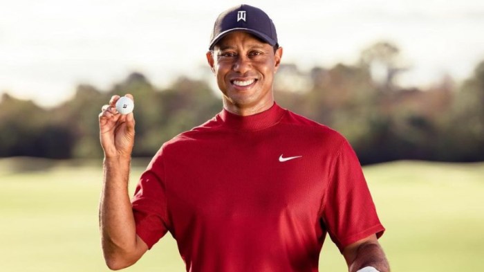 Biografi tiger woods pegolf dunia