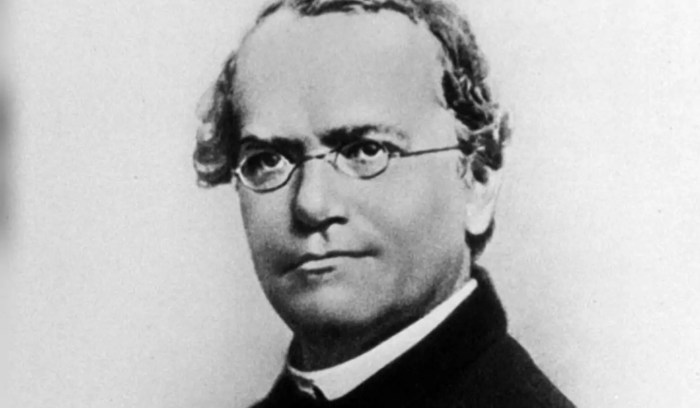 Biografi gregor mendel