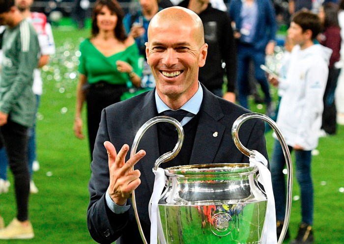 Biografi zinedine zidane