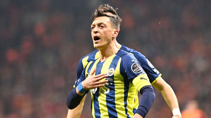 Biografi mesut ozil