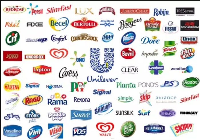 Organisasi struktur garis kelebihan teori aliran kotak kemenkeu kekurangan makna teknologi pengaruh Biografi william lever pendiri unilever