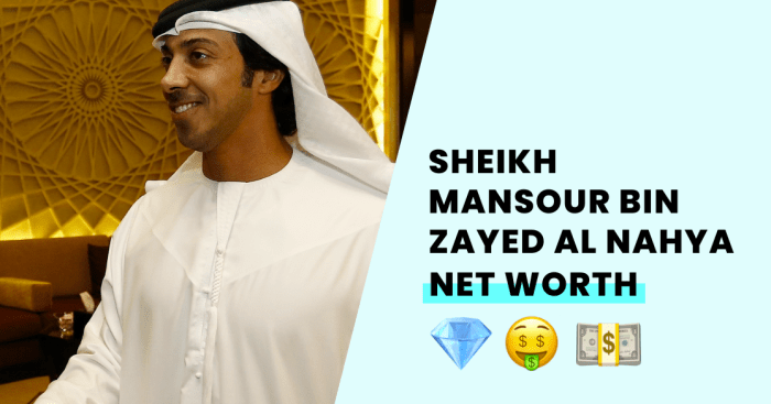 Biografi sheikh mansour bin zayed al