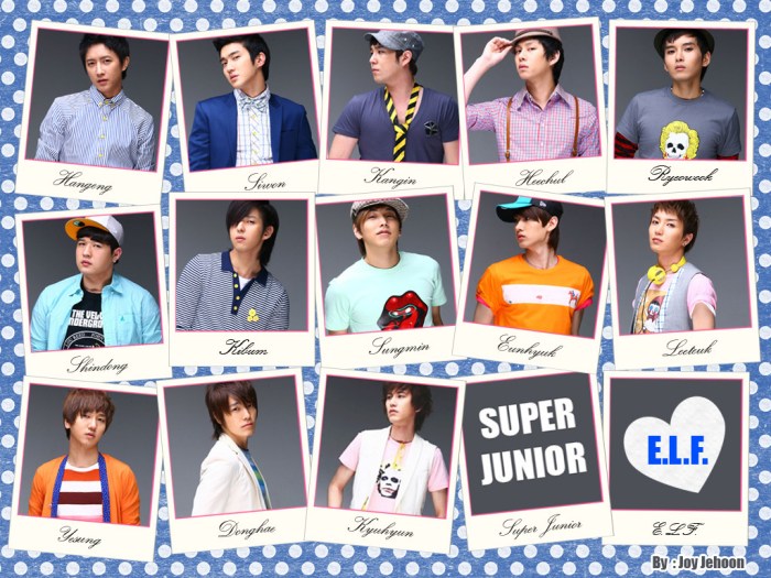 Biografi super junior suju