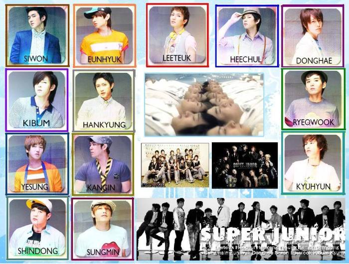 Biografi super junior suju