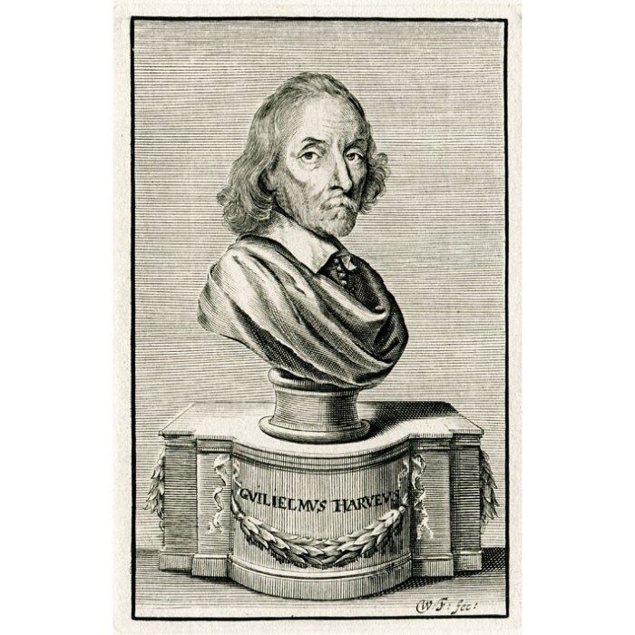 Biografi william harvey 1578 1657