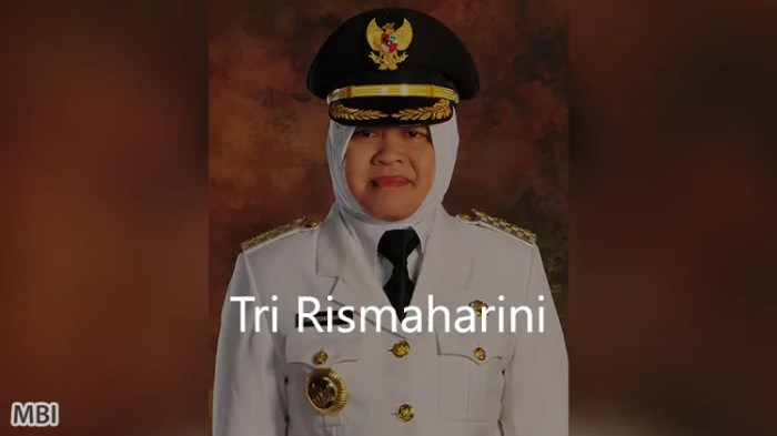 Biografi tri rismaharini walikota