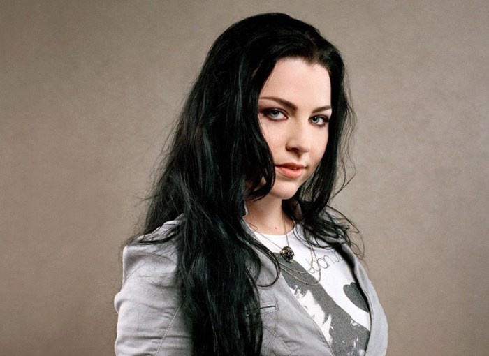 Biografi amy lee vokalis evanescence