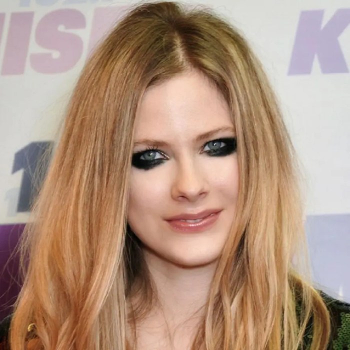 Biografi avril lavigne