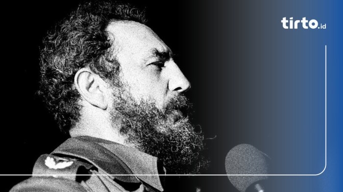 Biografi fidel castro