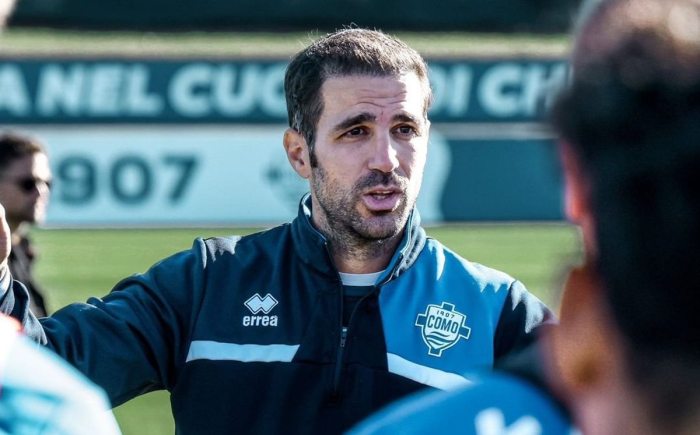 Biografi cesc fabregas