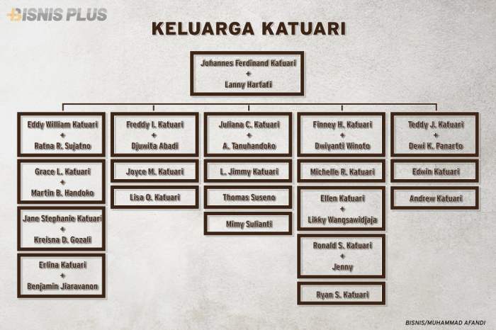 Biografi eddy katuari pemilik wings group