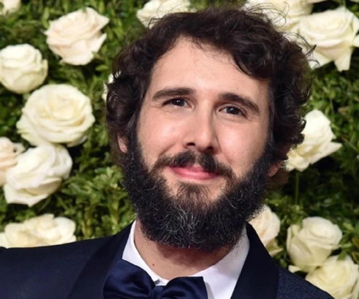 Josh groban imdb