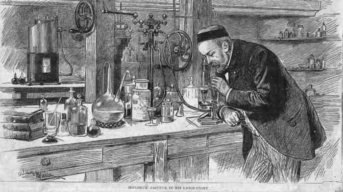 Louis pasteur biography professor pdf