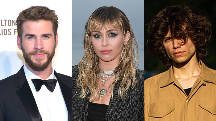 Biografi miley cyrus