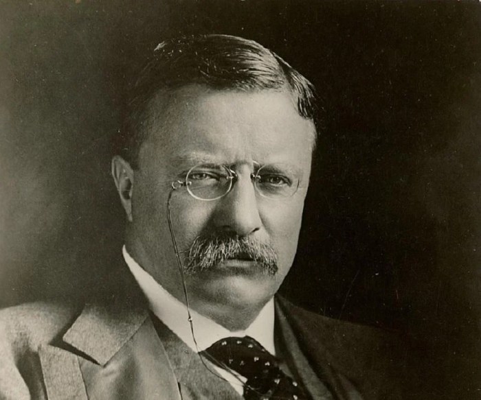 Biografi presiden theodore roosevelt