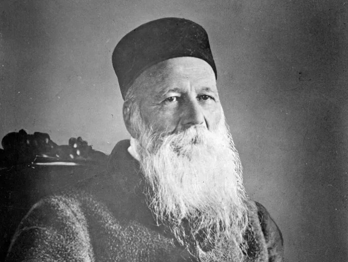 Dunant henry biography point soldiers wounded 1863