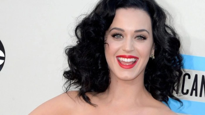Biografi katy perry