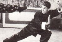 Hung fei wong seorang