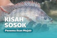 Mujair ikan ke blitar penemu inilah