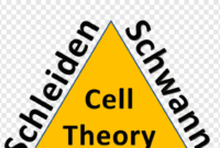 Biografi zacharias janssen penemu